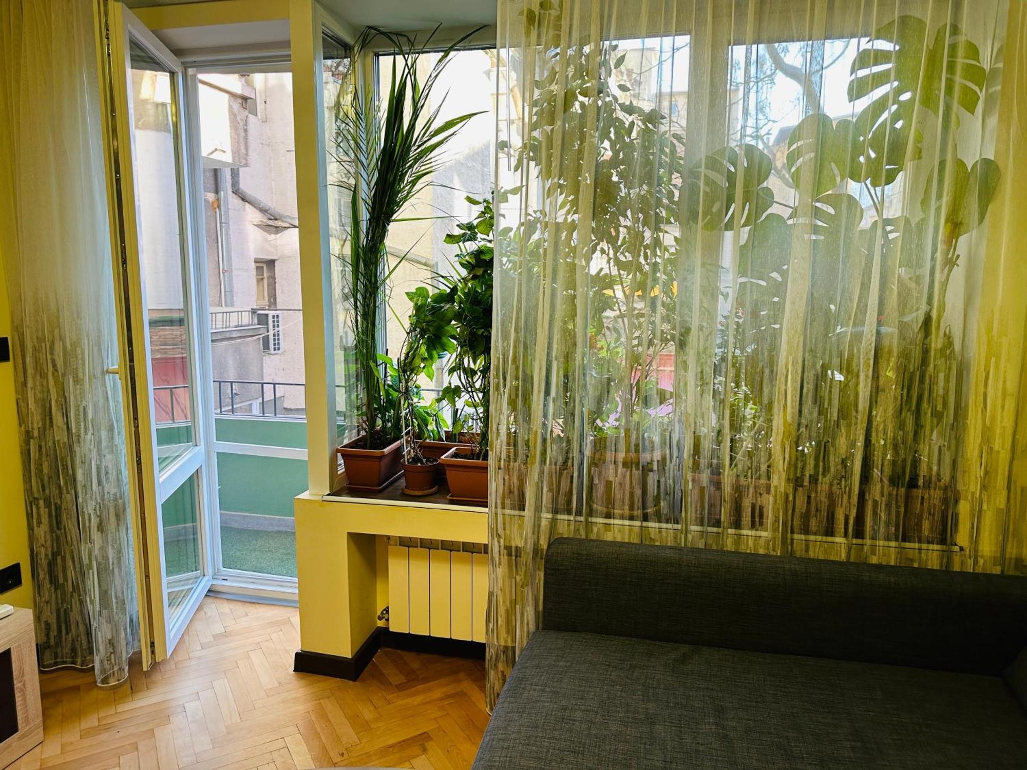 Luxury Oasis In Absolute Center Of Sofia Apartment Luaran gambar